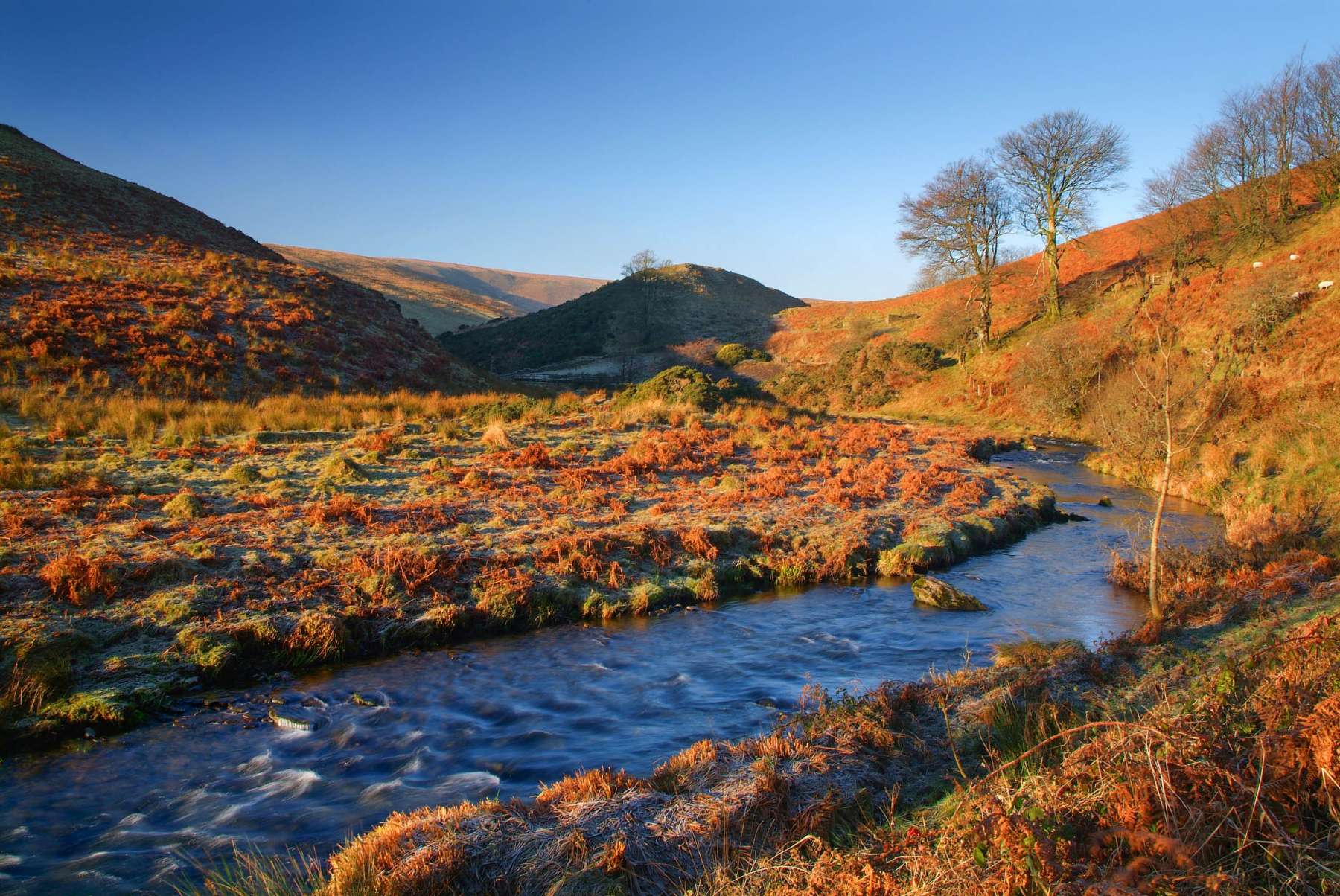 Exmoor Forest Inn | Historic Inn at the heart of Exmoor National Park