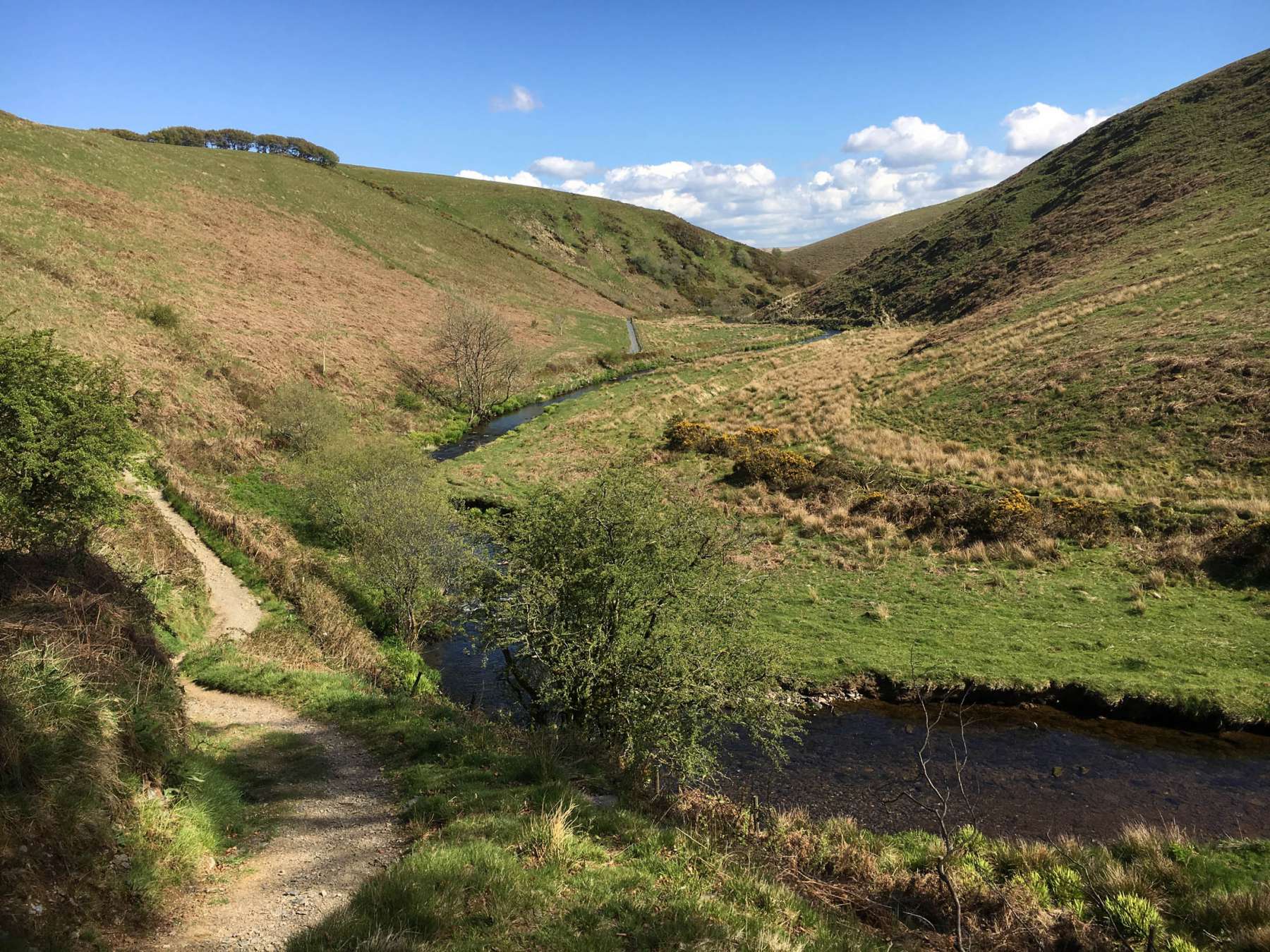 Exmoor Forest Inn | Historic Inn at the heart of Exmoor National Park