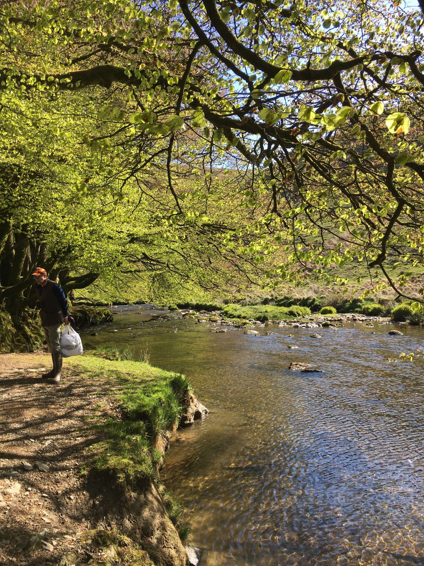 Exmoor Forest Inn | Historic Inn at the heart of Exmoor National Park