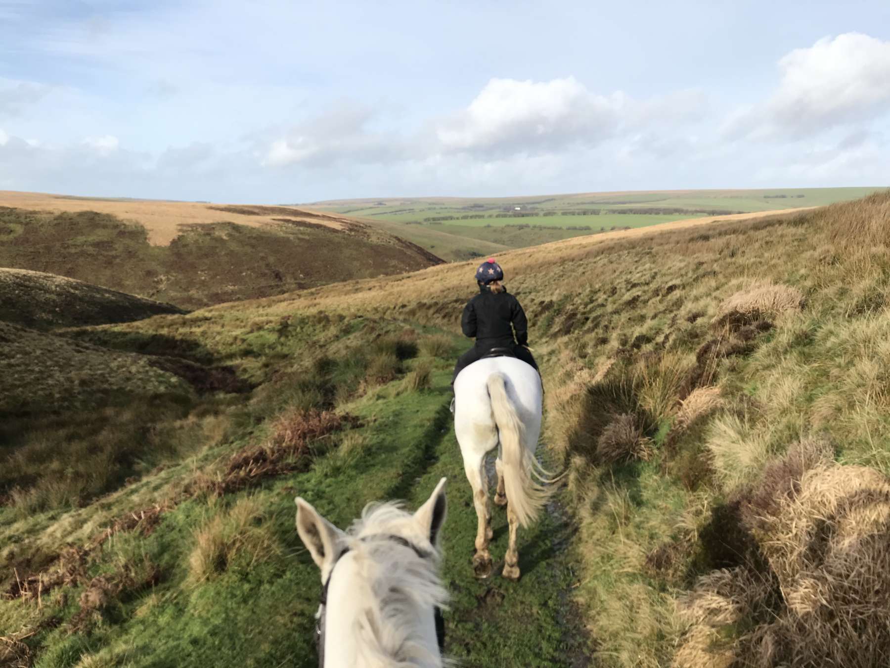 Exmoor Forest Inn | Historic Inn at the heart of Exmoor National Park