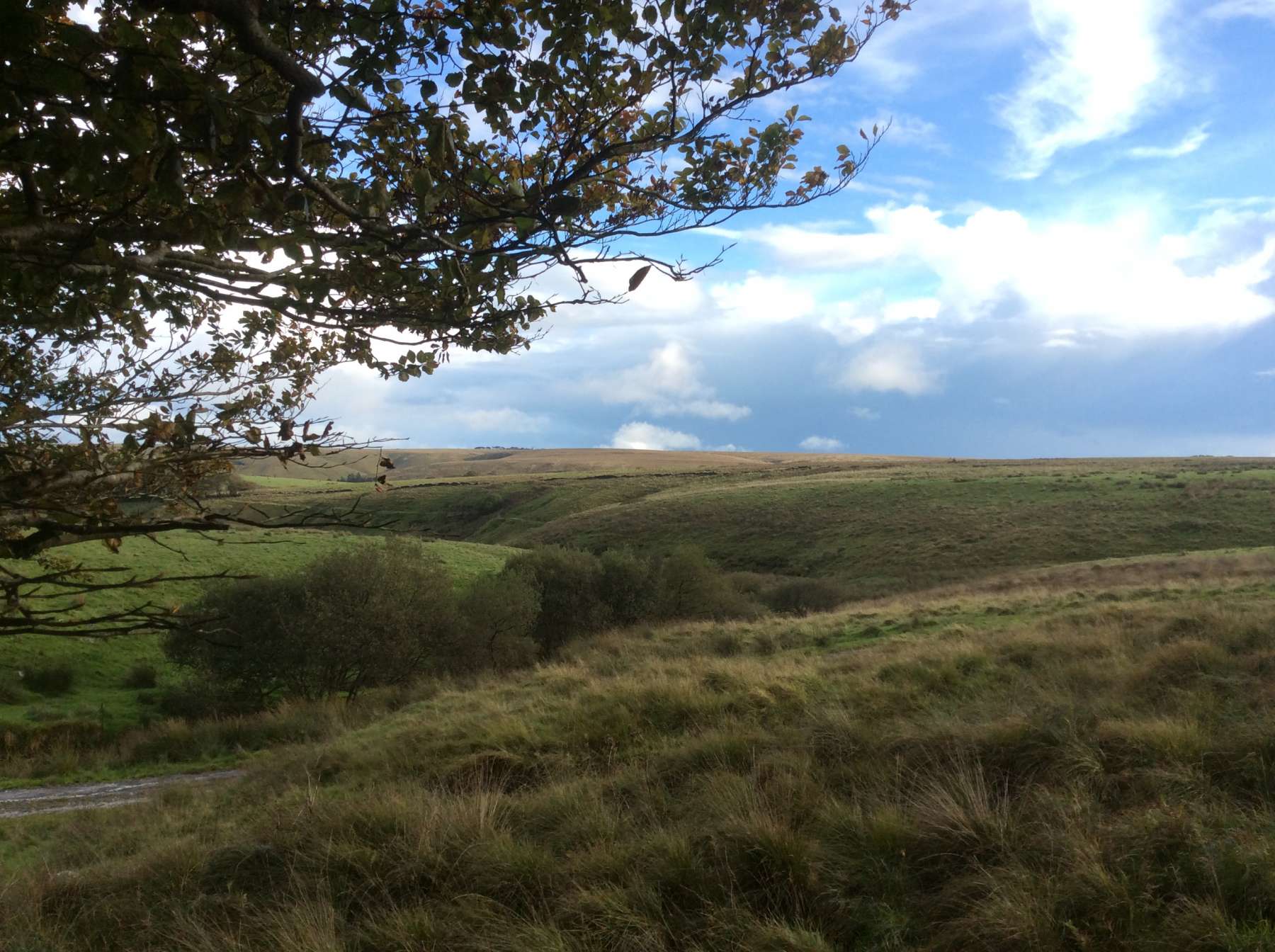 Exmoor Forest Inn | Historic Inn at the heart of Exmoor National Park