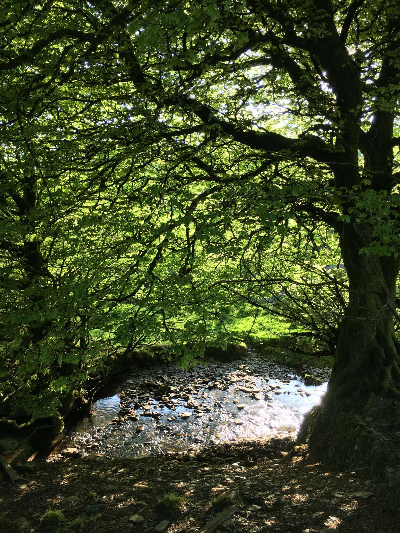 Exmoor Forest Inn | Historic Inn at the heart of Exmoor National Park