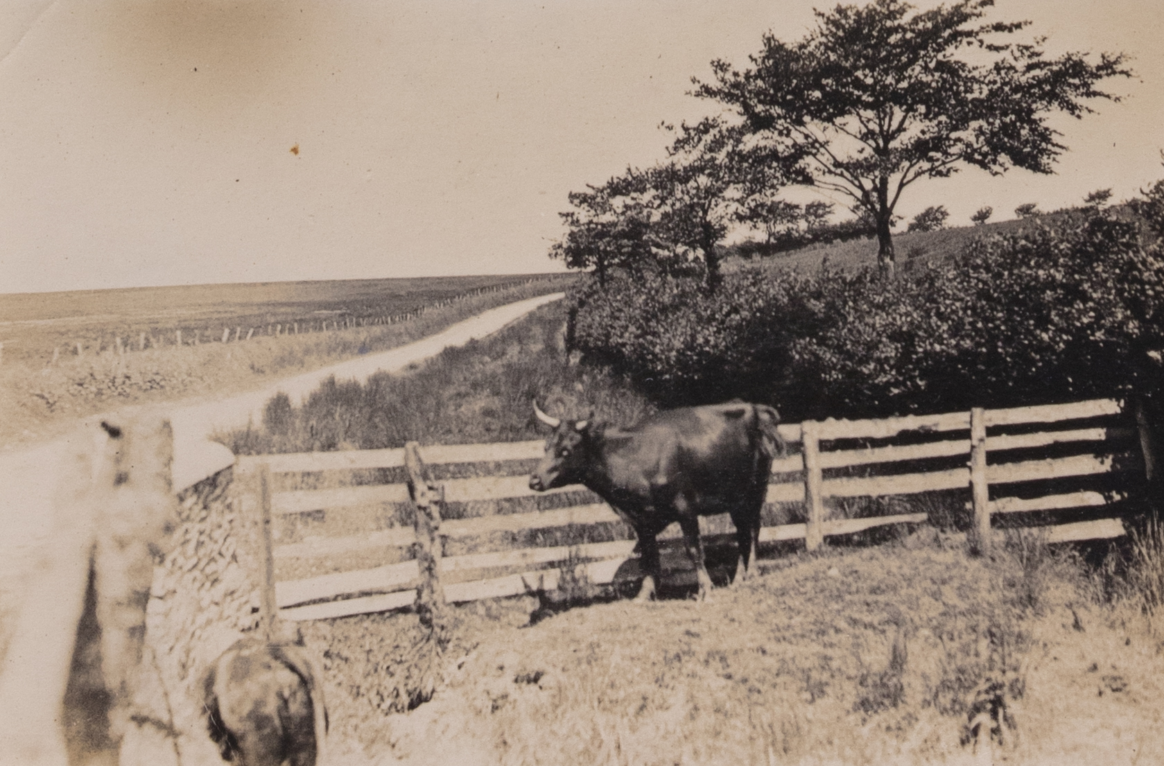 Exmoor Forest Inn | Historic Inn at the heart of Exmoor National Park