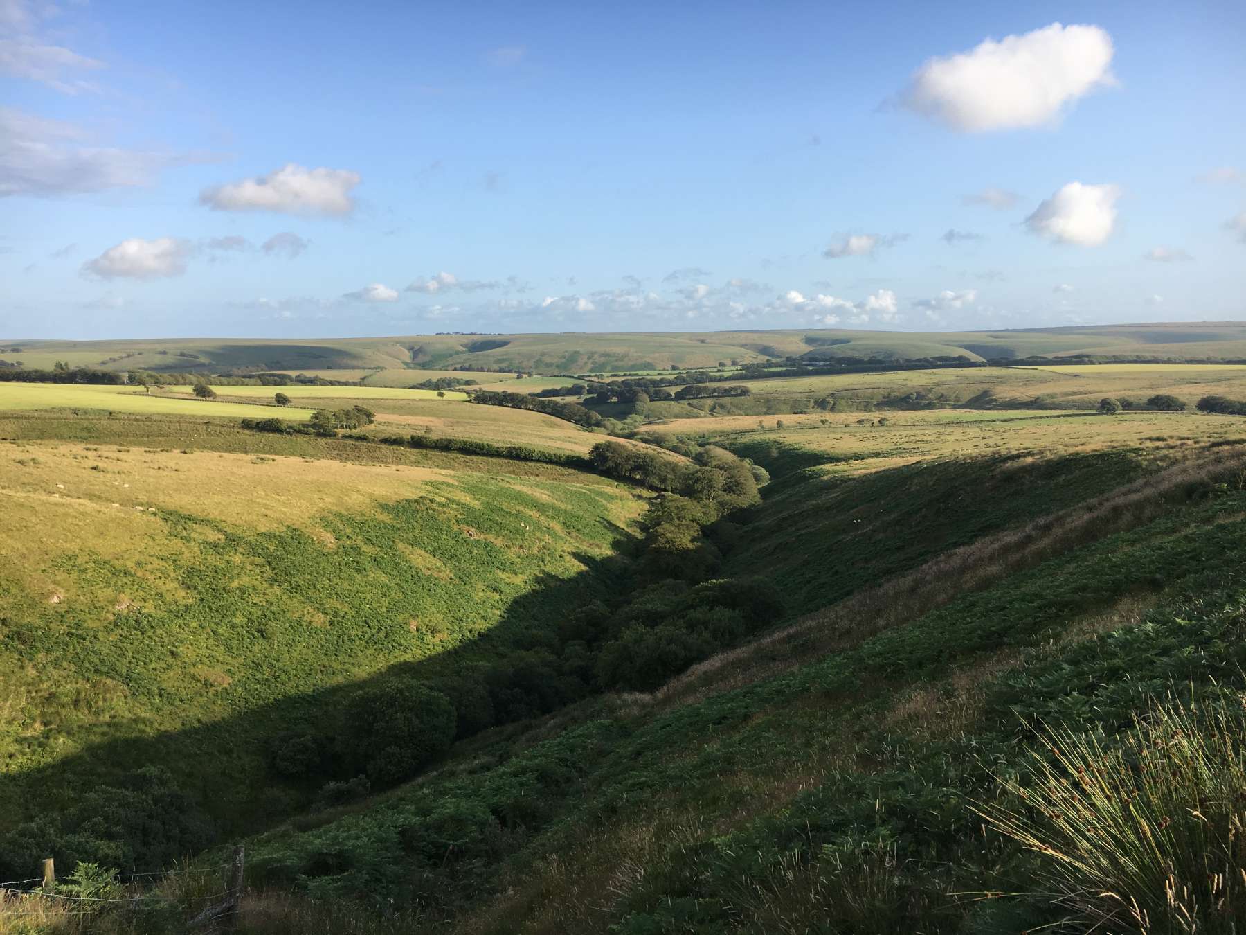 Exmoor Forest Inn | Historic Inn at the heart of Exmoor National Park