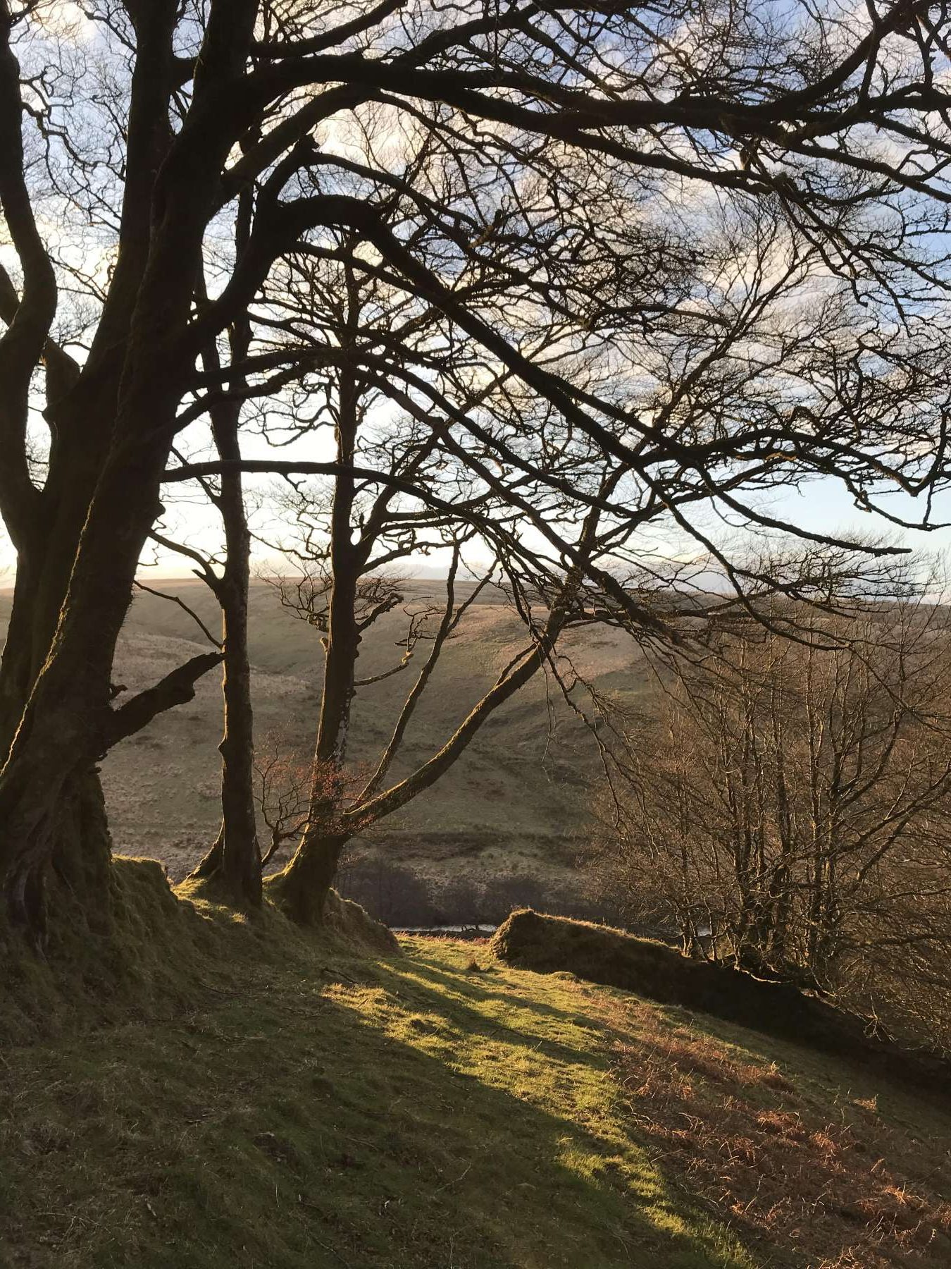 Exmoor Forest Inn | Historic Inn at the heart of Exmoor National Park