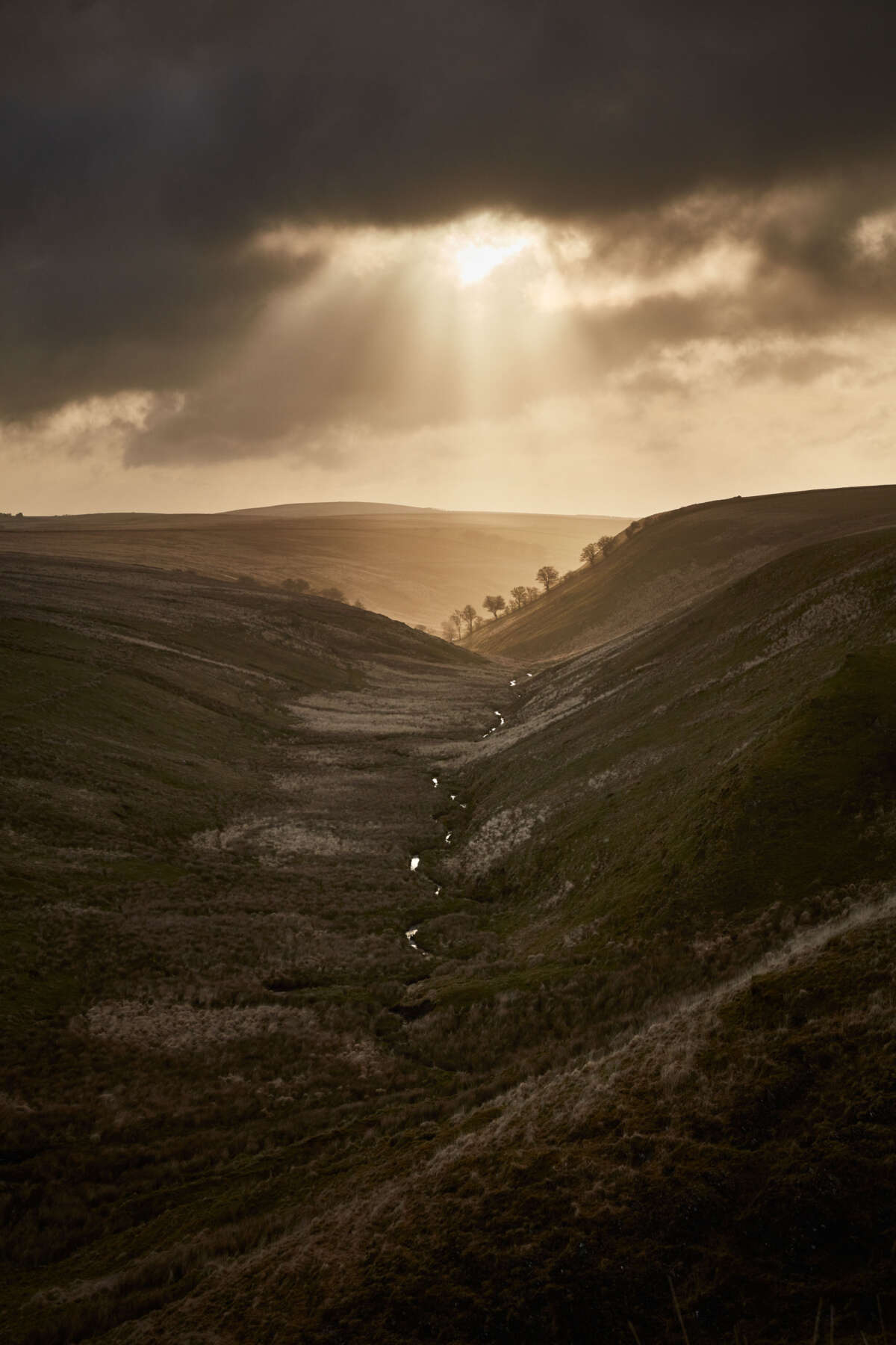 Exmoor Forest Inn | Historic Inn at the heart of Exmoor National Park