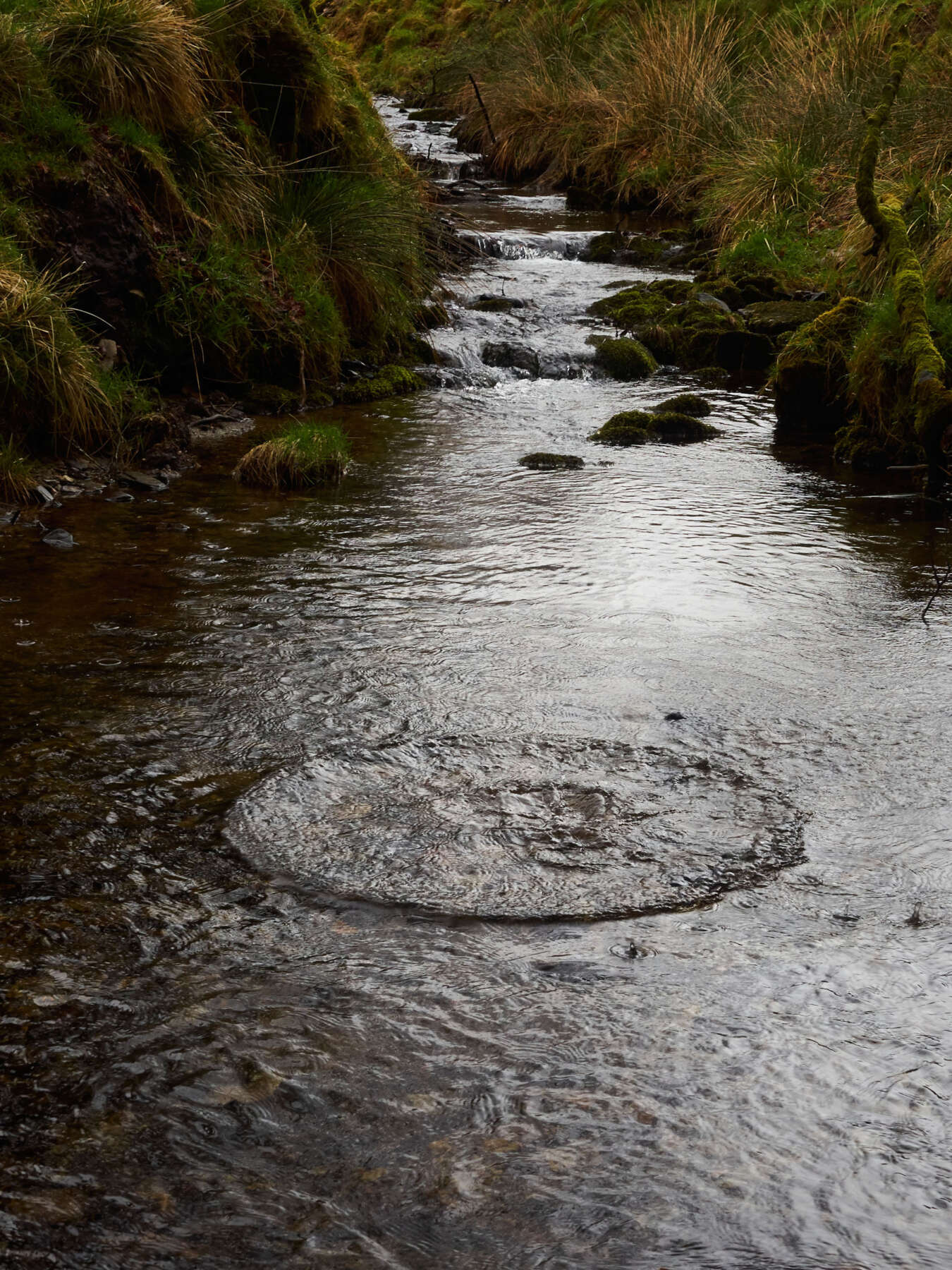 Exmoor Forest Inn | Historic Inn at the heart of Exmoor National Park