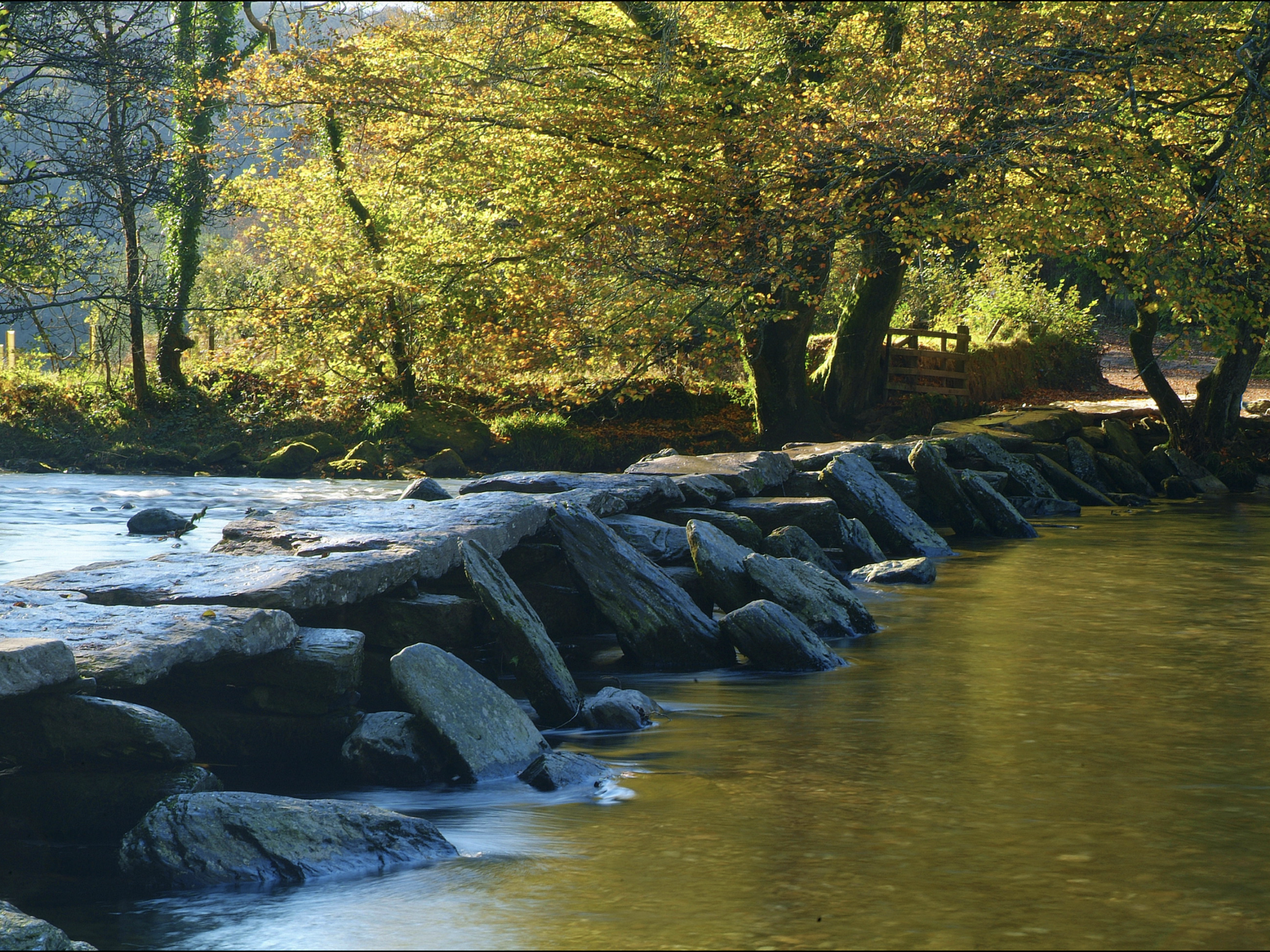 Exmoor Forest Inn | Historic Inn at the heart of Exmoor National Park