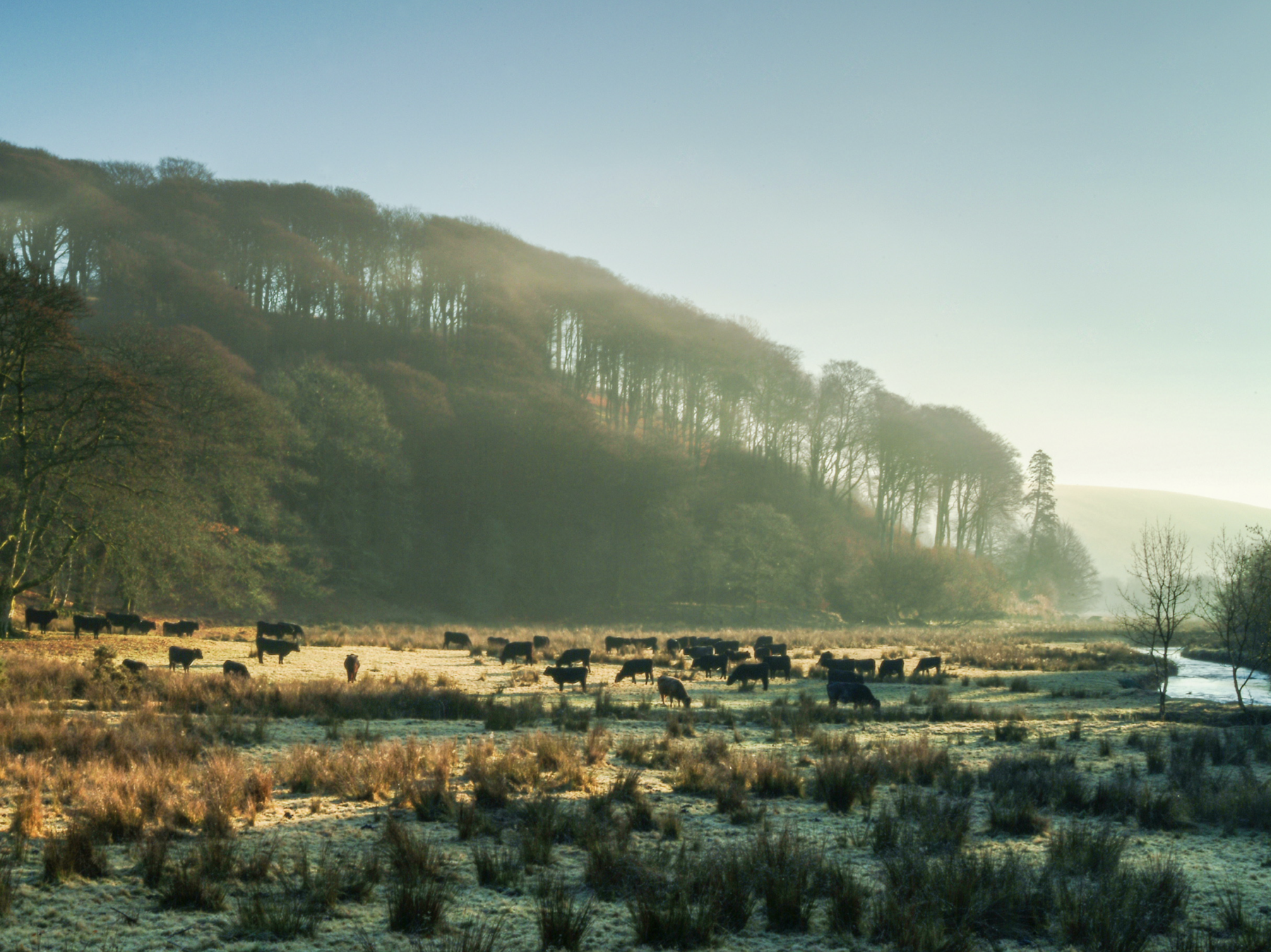 Exmoor Forest Inn | Historic Inn at the heart of Exmoor National Park