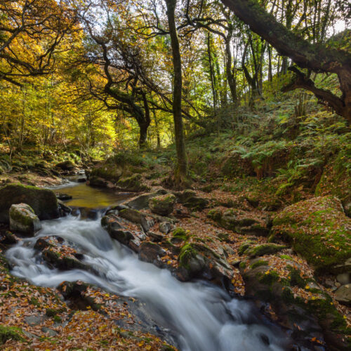 Autumn Lunch Menu | Exmoor Forest Inn Historic Inn at the heart of Exmoor National Park